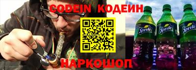 индика Можга