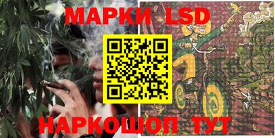 индика Можга