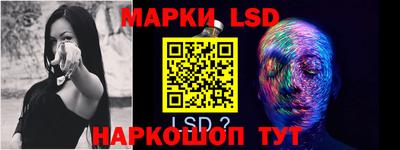 индика Можга