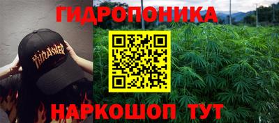 амф Моздок