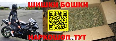 индика Можга