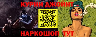 индика Можга
