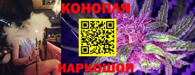 индика Можга