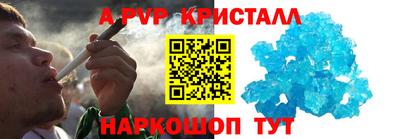 индика Можга