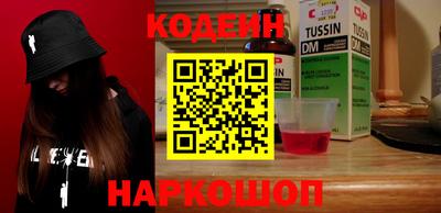 индика Можга