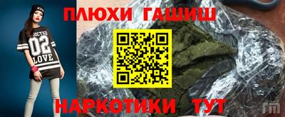 индика Можга