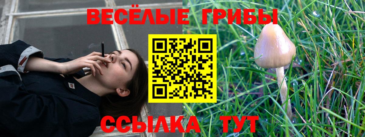 Унеча  Галлюциногенные грибы мухоморы  Псилоцибиновые грибы мухоморы  купить   Вход с VPN 